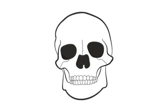 Human Head Skull